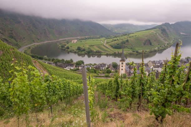 istock Mosel river by Moselschleife in Bremm a small village alongside the Mosel river 1289683657