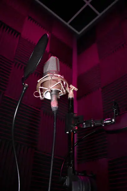 Photo of Microphone in a purple soundproof studio