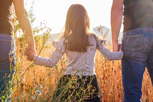 happy family walks in a wheat field at sunset