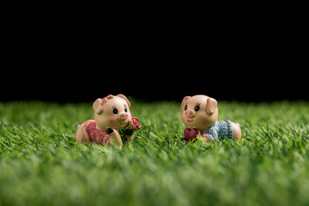 istock Piggy on the grass 1289702464