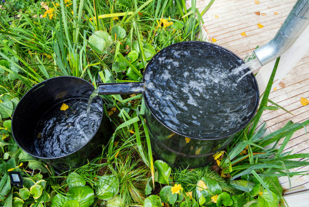 System for collecting rainwater from two barrels