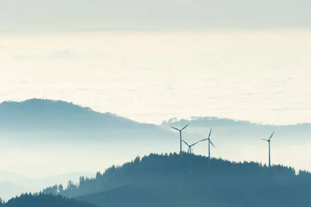 Photo of Inversion weather conditions on the Kandel in the Black Forest