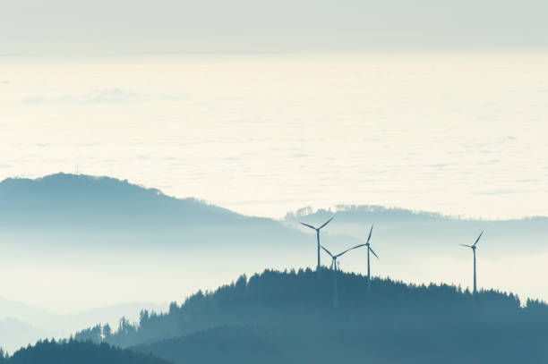 inversion weather conditions on the kandel in the black forest - black forest landscape germany forest imagens e fotografias de stock