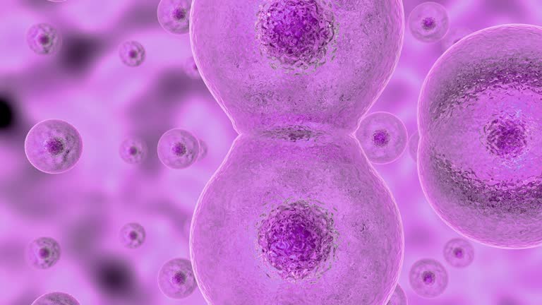 Cell Division Animation Biology Diagrams