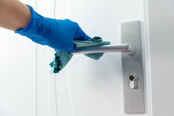 istock Close up of hand cleaning door handle 1289713834