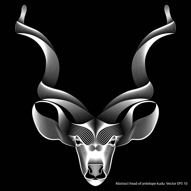 Abstract head of kudu antelope on black background, line art, optical illusion Abstract head of kudu antelope on black background, line art, optical illusion. Vector illustration EPS 10 kudu stock illustrations