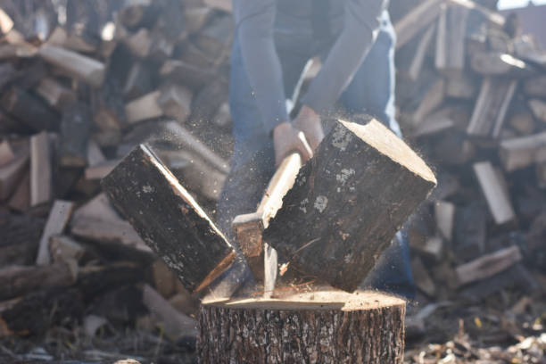istock Lumberjack chopping wood 1289723058