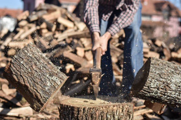 istock Lumberjack chopping wood 1289723093