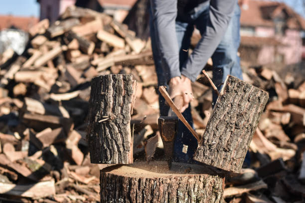 istock Lumberjack chopping wood 1289723171
