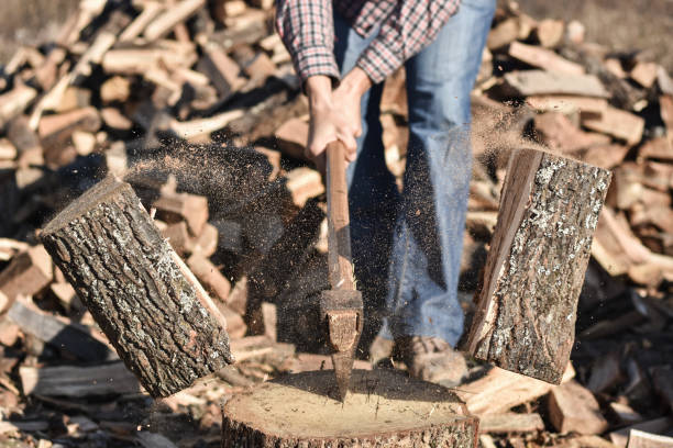 istock Lumberjack chopping wood 1289723194