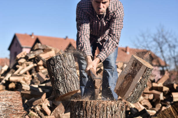 istock Lumberjack chopping wood 1289723205