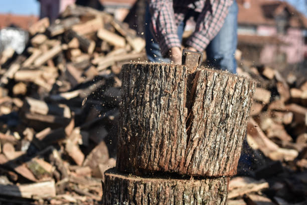 istock Lumberjack chopping wood 1289723213