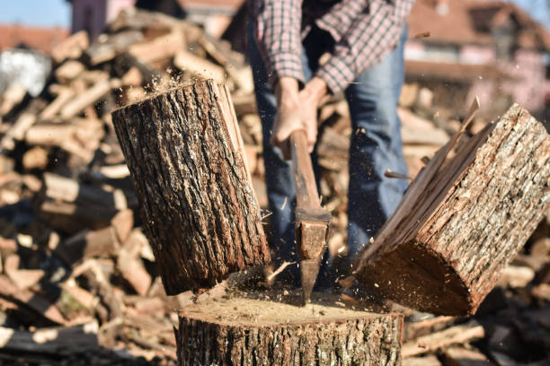 istock Lumberjack chopping wood 1289723236