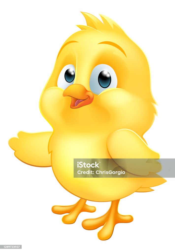 Ilustración de Bebé Pollo Polluelo De Pascua Pájaro Dibujos Animados  Señalando y más Vectores Libres de Derechos de Gallina - Ave de corral -  iStock