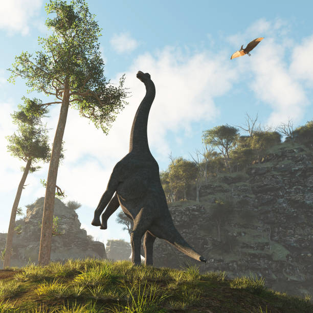 Brachiosaurus dinosaur in the valley eating and a pterodactyl flying above . This is a 3d render illustration .