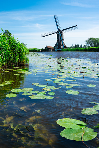 Mill in Hoornaar, Noordeloos, Holland