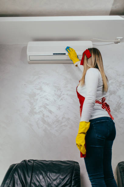 istock Young woman cleaning house 1289737581