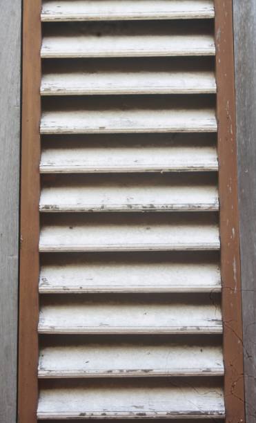 istock Wooden house ventilation 1289737682