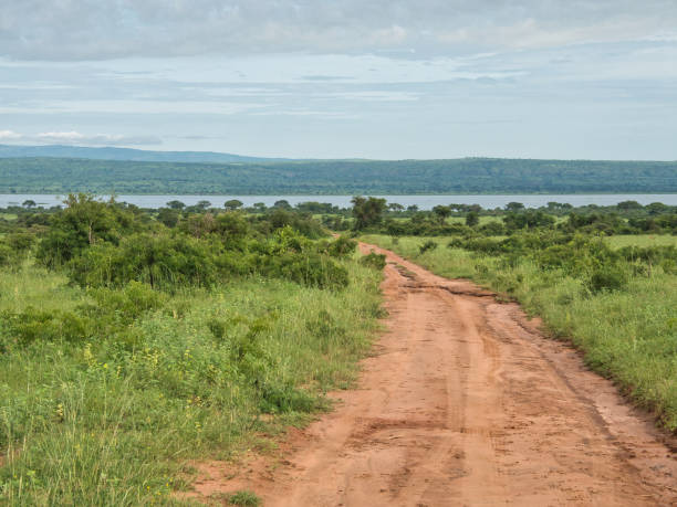 istock Savannelandschap in het Murchison Falls National Park 1289739891