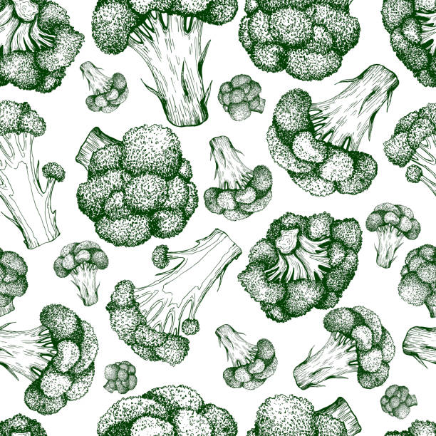 ilustrações de stock, clip art, desenhos animados e ícones de broccoli green outline colorful fresh vegetable seamless pattern, isolated on white. - agriculture backgrounds cabbage close up