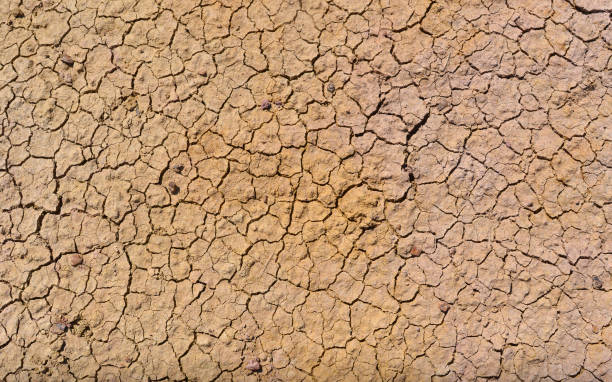 istock Dry mud of a riverbed in Chicago, Illinois 1289745256