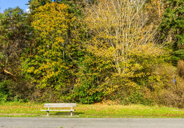 istock Bench And Autumn Colors 1289746147