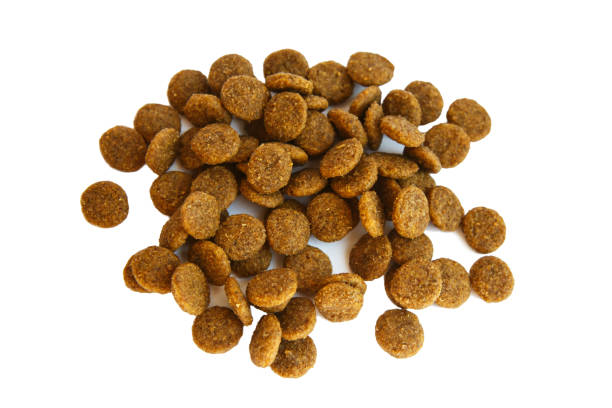 istock Dry food in granules for Pets. 1289751509