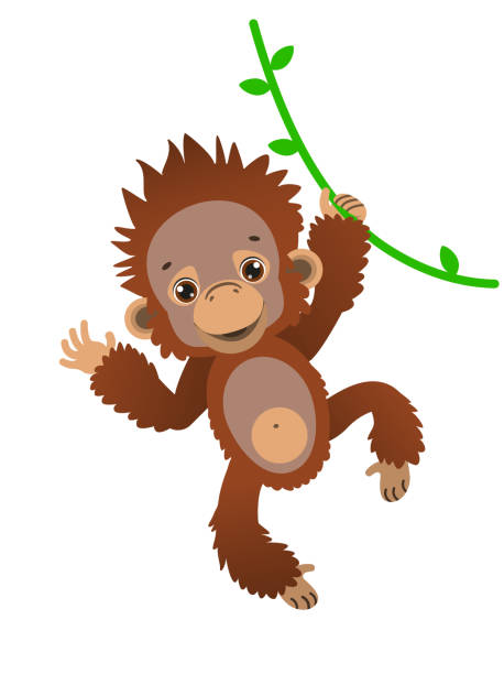 Cute Orangutan Illustrations, Royalty-Free Vector Graphics & Clip Art - iStock Cute Orangutan Illustrations, Royalty-Free Vector Graphics & Clip Art - iStock