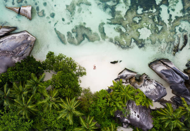 istock Aeirla view of La Digue island beach. 1289765563