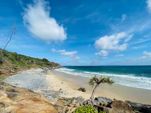 istock Noosa Heads National Park 1289770565