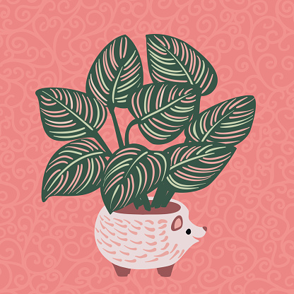 Vector illustration doodle of Pin Striped Calathea in a Hedgehog planter against a seamless pattern background.