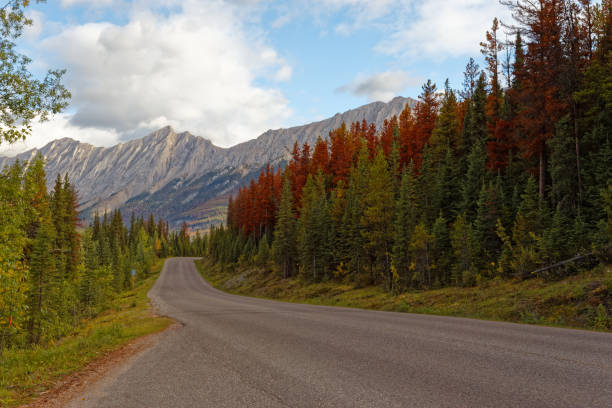 istock On the way to Autumn 1289773908