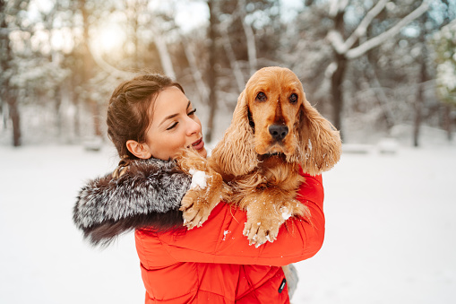 Smiled young woman in red winter coat spending winter day with her brown cocker spaniel dog outdoors on snow, holding dog in her arms