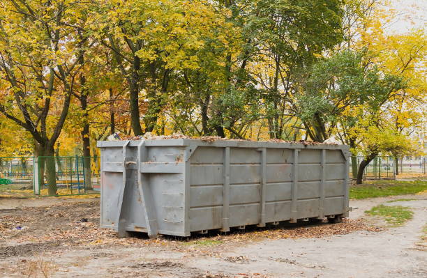 istock Container for collecting cut grass and fallen leaves in autumn. Large metal container for household waste. Cleaning of fallen leaves and grass. Putting order in parks and squares 1289777377