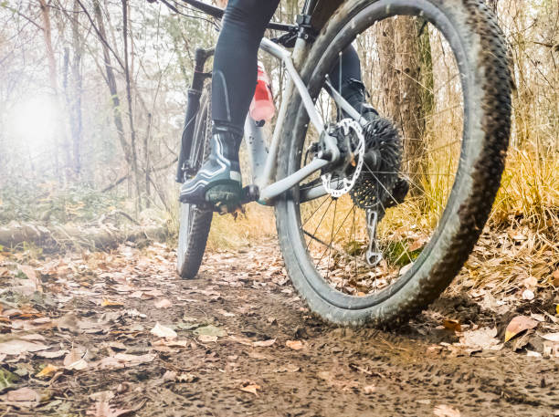 istock Mud tracks on a mountain bike trail 1289783351