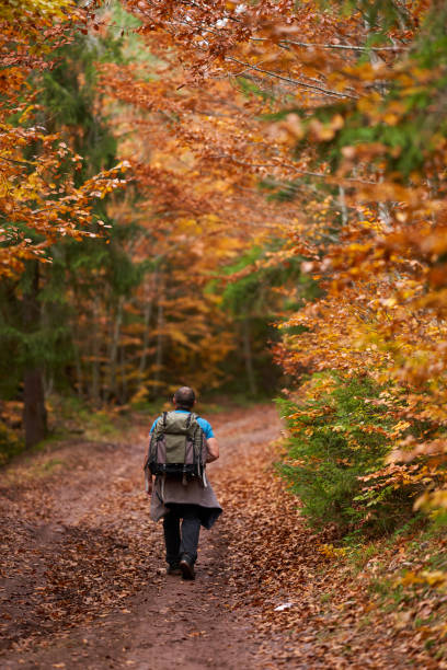 istock Nature photographer shooting fall scene in the forest 1289783385