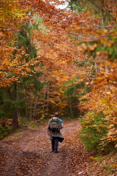 istock Nature photographer shooting fall scene in the forest 1289783393