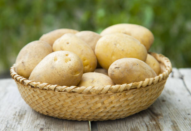 Potatoes in a wicker basket on wood.\nHorizontal composition,