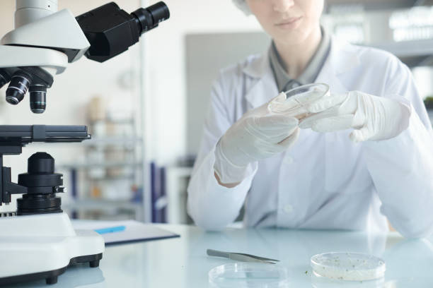 istock Female Scientist Working in Laboratory Close Up 1289792910