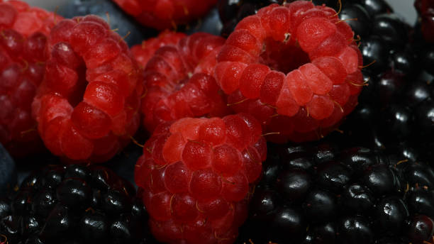 istock fresh and healthy berries for the diet 1289796922