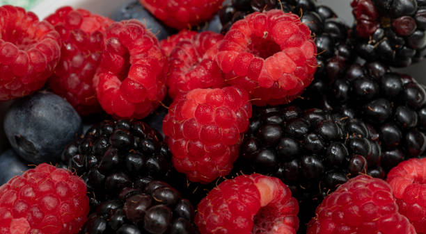 istock fresh and healthy berries for the diet 1289796958