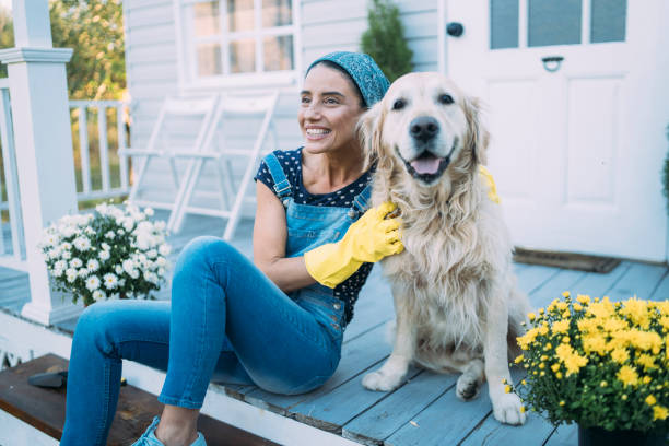 裏庭でガーデニングをする女性、犬と遊ぶ - formal garden flower bed women grass ストックフォトと画像