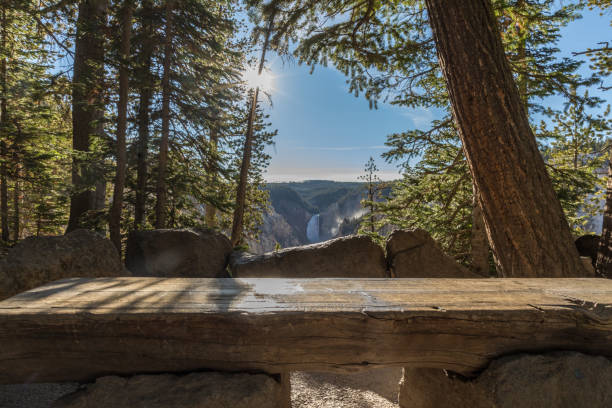 istock Park Bench at Yellowstone River Overlook 1289799416
