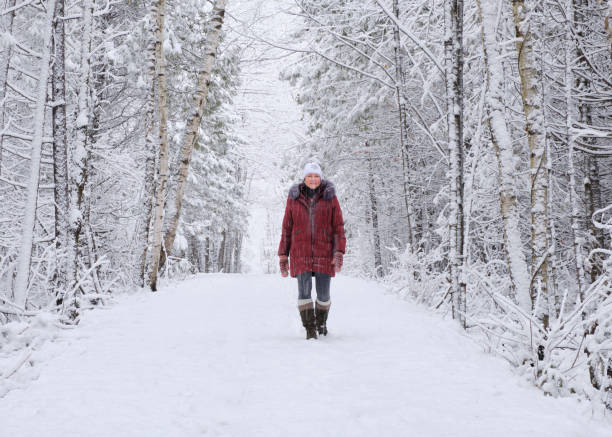 frau läuft auf waldweg im schneesturm - winter landscape canada branch stock-fotos und bilder