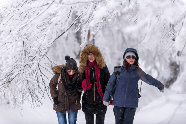 istock Having fun on snow stock photo... 1289803175