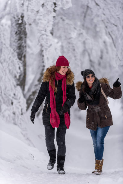 istock Having fun on snow stock photo... 1289803254