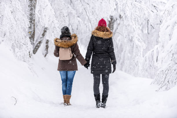 istock Having fun on snow stock photo... 1289803486