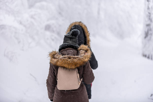 istock Having fun on snow stock photo... 1289804053