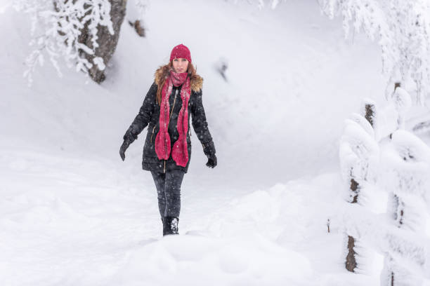 istock Having fun on snow stock photo... 1289804150