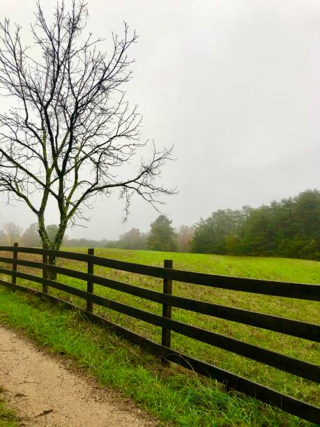 istock Rainy day on the farm 1289805087
